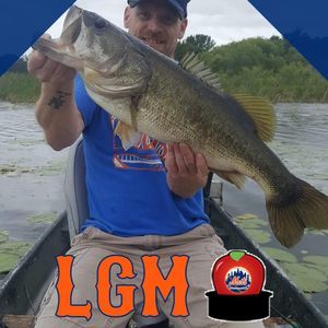 Meet your Posher, Dennis